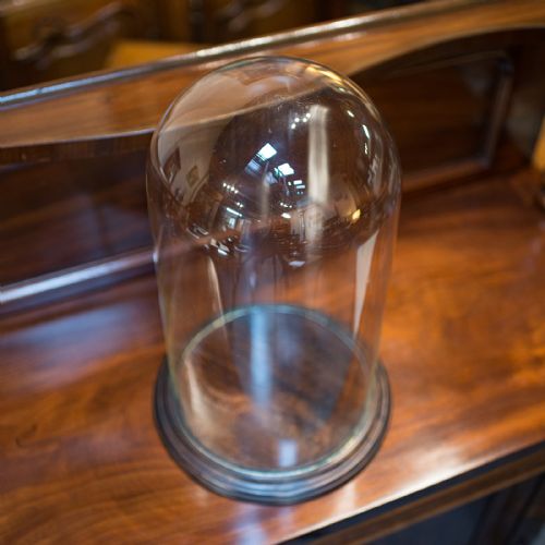 fig 3. Antique Display Dome, English, Glass, Mahogany, Taxidermy, Showcase, Victorian