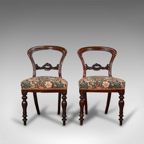 fig 1. Pair Of, Antique Buckle Back Chairs, English, Walnut, Dining, Side, Victorian