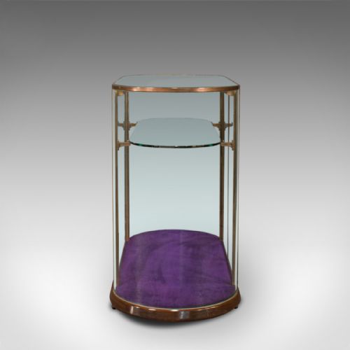 fig 4. Large Antique Glazed Display Cabinet, English, Bronze, Shop, Showcase, Edwardian
