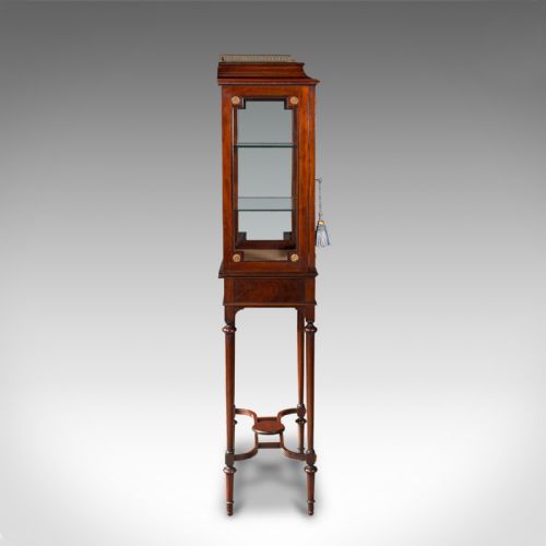 fig 3. Antique Raised Pier Cabinet, English, Mahogany, Display Case, Edwardian, C.1910