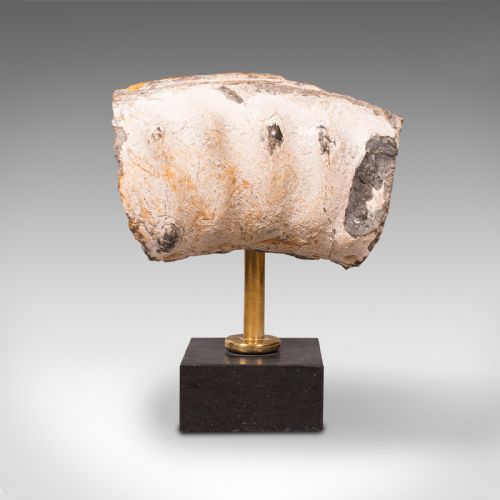 fig 1. Vintage Display Fossil, English, Geological Study, Ornament, Desktop Paperweight