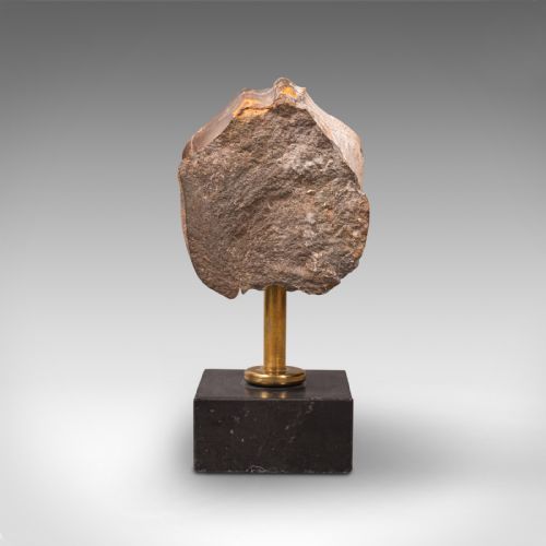 fig 3. Vintage Display Fossil, English, Geological Study, Ornament, Desktop Paperweight
