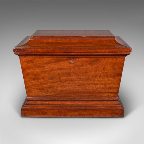 LARGE ANTIQUE SARCOPHAGUS CELLARETTE ENGLISH MAHOGANY WINE COOLER REGENCY - ADDITIONAL PHOTO 2