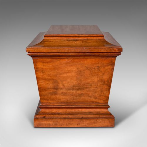 LARGE ANTIQUE SARCOPHAGUS CELLARETTE ENGLISH MAHOGANY WINE COOLER REGENCY - ADDITIONAL PHOTO 3