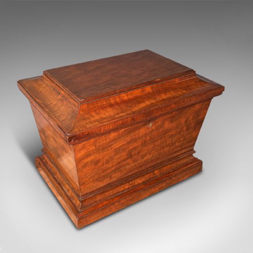 LARGE ANTIQUE SARCOPHAGUS CELLARETTE ENGLISH MAHOGANY WINE COOLER REGENCY - ADDITIONAL PHOTO 6