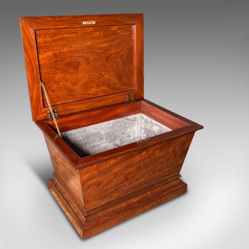 LARGE ANTIQUE SARCOPHAGUS CELLARETTE ENGLISH MAHOGANY WINE COOLER REGENCY - ADDITIONAL PHOTO 7