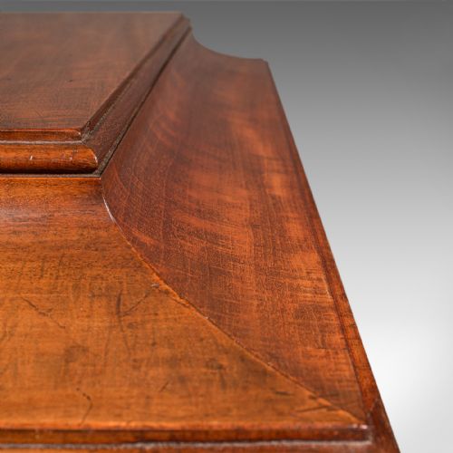 LARGE ANTIQUE SARCOPHAGUS CELLARETTE ENGLISH MAHOGANY WINE COOLER REGENCY - ADDITIONAL PHOTO 10