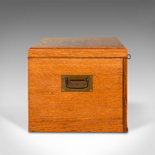 fig 3. Antique Collector's Specimen Case, English, Oak, Chest, Jewellery Box, Edwardian