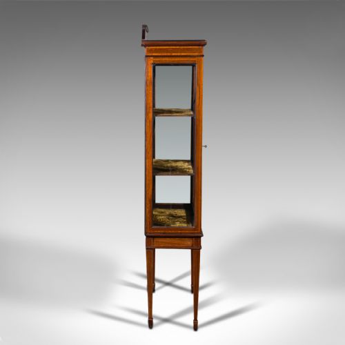 fig 3. Antique Pier Cabinet On Stand, English, Walnut, Glazed Display Case, Edwardian