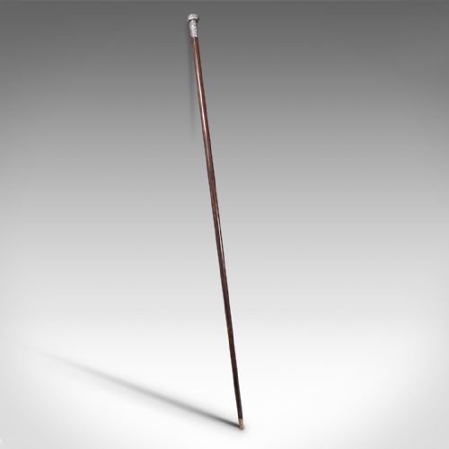 Antique Colonial Walking Cane, Anglo Indian, Coromandel, Swagger Stick, Georgian