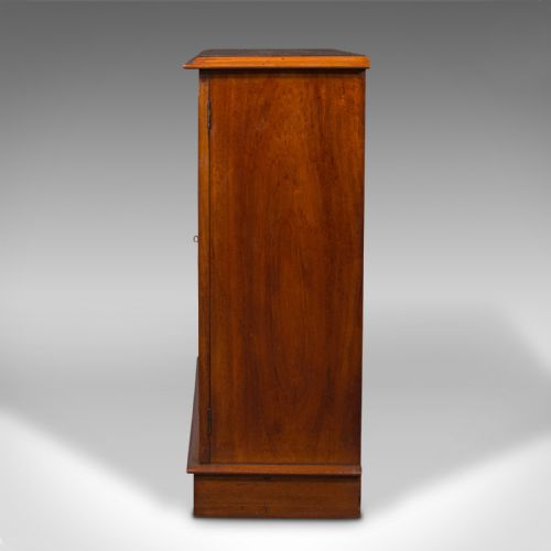 fig 3. Antique Side Cabinet, English, Bookshelf, Drinks Cupboard, Victorian, Circa 1860