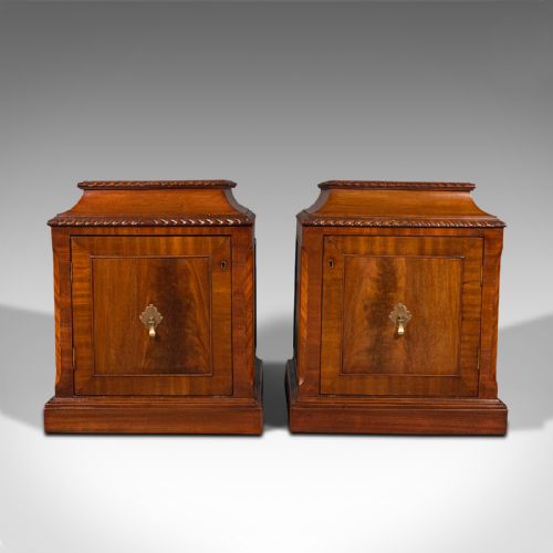 fig 1. Pair Of Antique Nightstands, English, Bedside, Fireside Cabinet, William IV