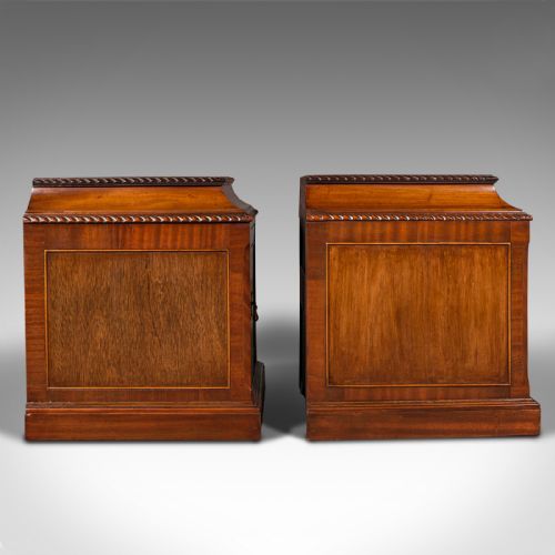 fig 2. Pair Of Antique Nightstands, English, Bedside, Fireside Cabinet, William IV