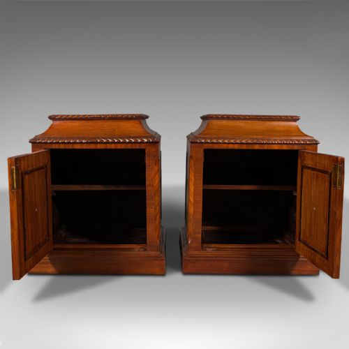 fig 6. Pair Of Antique Nightstands, English, Bedside, Fireside Cabinet, William IV