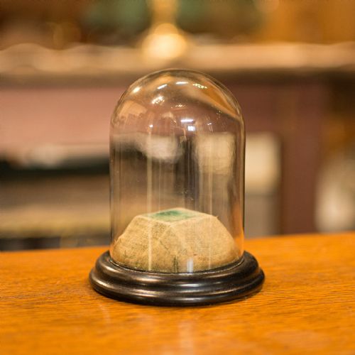 Small Antique Display Dome, English, Taxidermy, Specimen, Showcase, Victorian