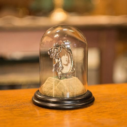 fig 1. Small Antique Display Dome, English, Taxidermy, Specimen, Showcase, Victorian