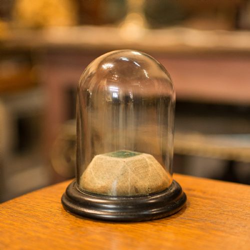 fig 2. Small Antique Display Dome, English, Taxidermy, Specimen, Showcase, Victorian