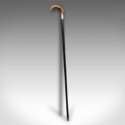 Antique Gentleman's Walking Stick, English, Ebonised, Horn, Victorian, C.1850