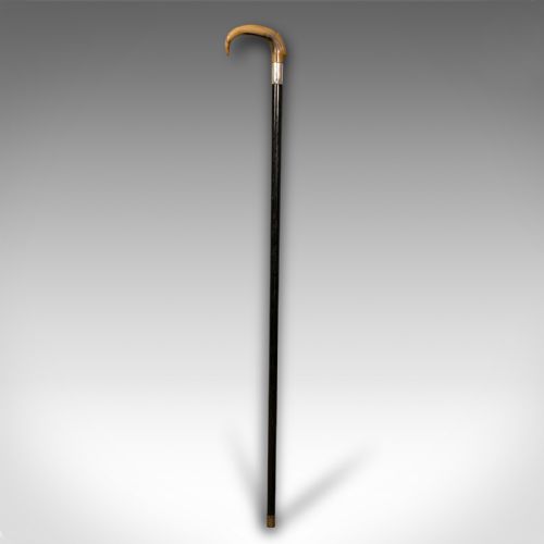 fig 1. Antique Gentleman's Walking Stick, English, Ebonised, Horn, Victorian, C.1850