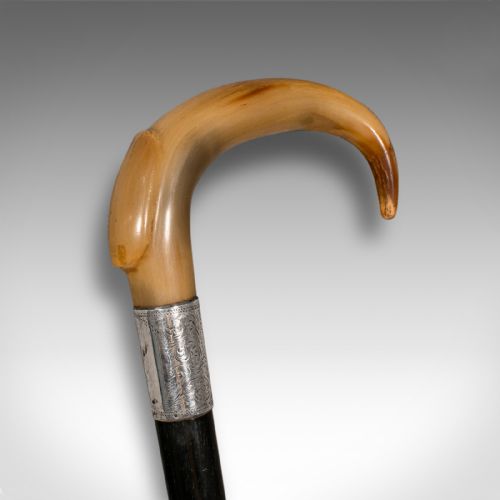 fig 2. Antique Gentleman's Walking Stick, English, Ebonised, Horn, Victorian, C.1850