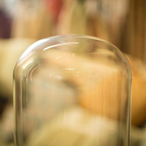 fig 2. Antique Bell Bottom Display Dome, English, Glass, Taxidermy, Showcase, Edwardian