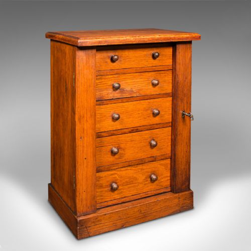 Antique Wellington Chest of Drawers, English, Oak, Specimen Cabinet, Victorian