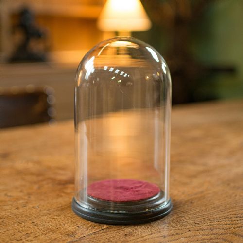fig 2. Small Antique Display Dome, English, Glass, Specimen, Decor, Victorian, C.1890