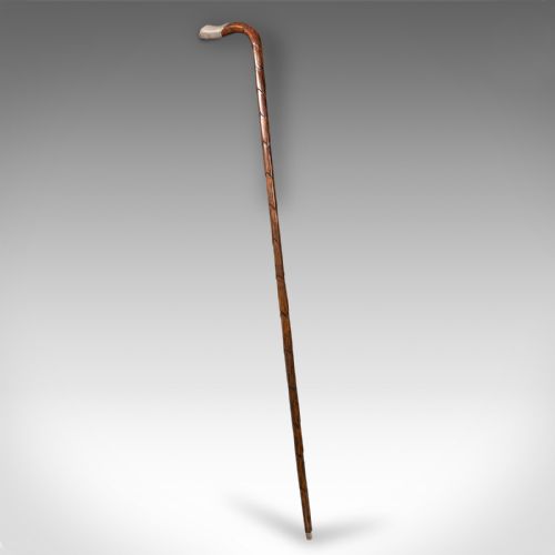 Antique Gentleman's Walking Stick, English, Coromandel, Silver, Cane, Edwardian