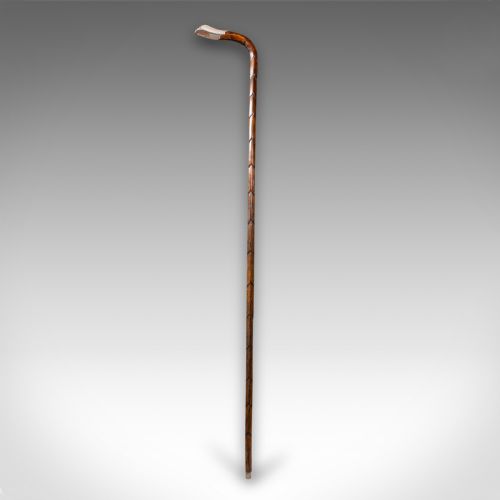 fig 1. Antique Gentleman's Walking Stick, English, Coromandel, Silver, Cane, Edwardian