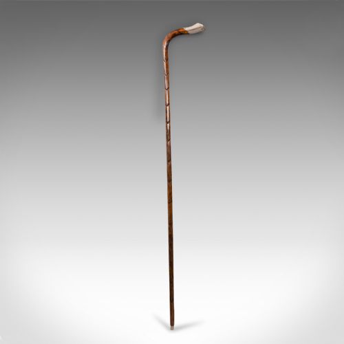 fig 2. Antique Gentleman's Walking Stick, English, Coromandel, Silver, Cane, Edwardian