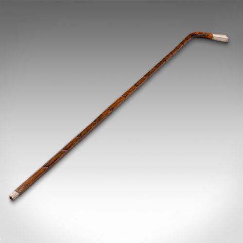 fig 3. Antique Gentleman's Walking Stick, English, Coromandel, Silver, Cane, Edwardian