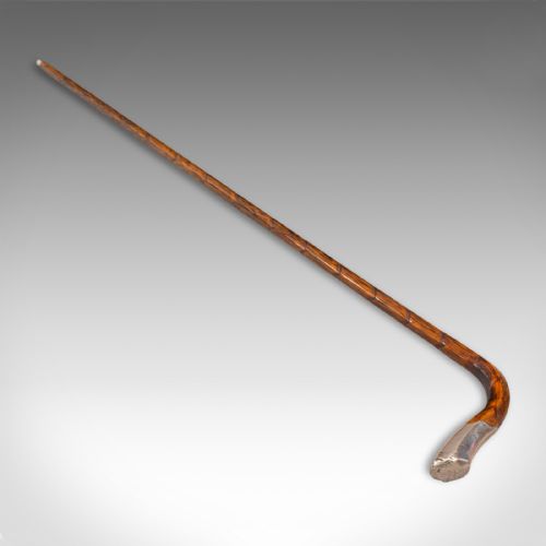 fig 4. Antique Gentleman's Walking Stick, English, Coromandel, Silver, Cane, Edwardian