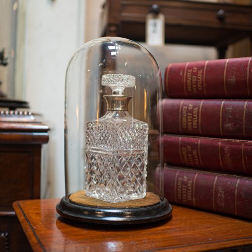 fig 1. Antique Taxidermy Showcase, English, Glass, Leather, Display Dome, 19th Century