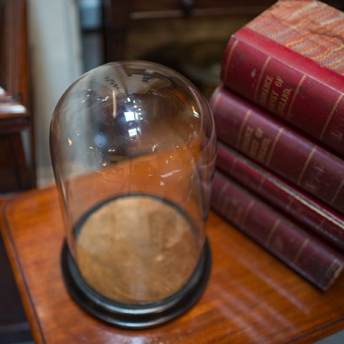 fig 2. Antique Taxidermy Showcase, English, Glass, Leather, Display Dome, 19th Century