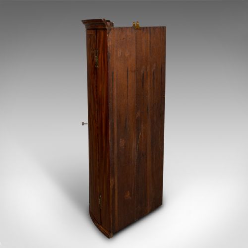 ANTIQUE CORNER CABINET ENGLISH BOW FRONT WALL CUPBOARD GEORGIAN CIRCA 1780 - ADDITIONAL PHOTO 5
