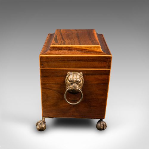 ANTIQUE SARCOPHAGUS TEA CADDY ENGLISH BOX GLASS MIXER REGENCY CIRCA 1820 - ADDITIONAL PHOTO 6