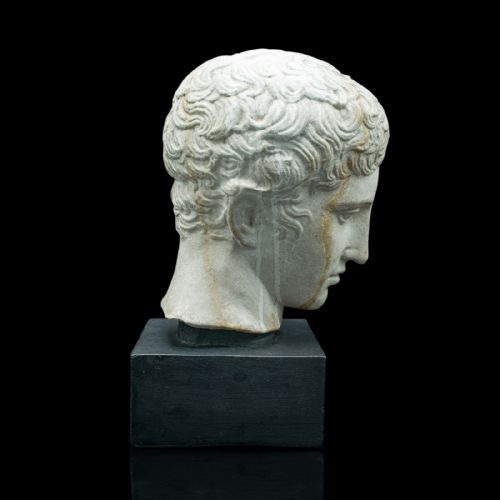 fig 3. Antique Male Portrait Bust, Italian, Plaster, After Doryphorus, Victorian, 1900