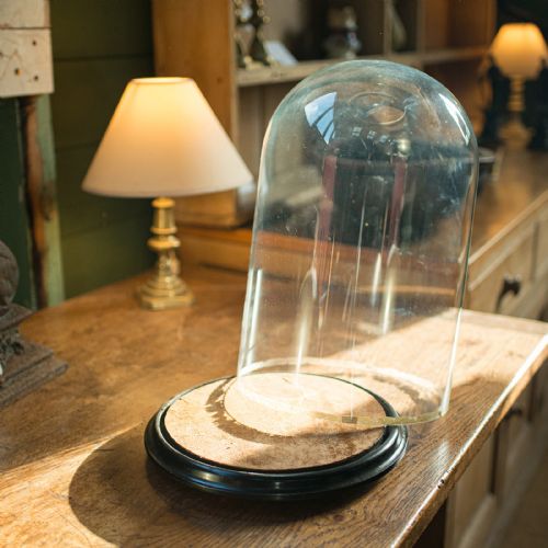 LARGE ANTIQUE TAXIDERMY DOME ENGLISH DISPLAY SHOWCASE LATE VICTORIAN C1880 - ADDITIONAL PHOTO 2