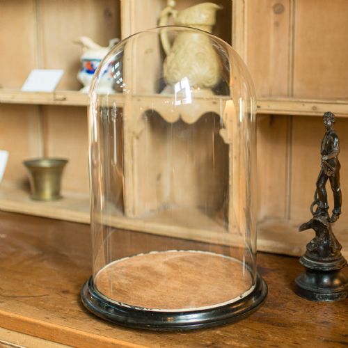 LARGE ANTIQUE TAXIDERMY DOME ENGLISH DISPLAY SHOWCASE LATE VICTORIAN C1880 - ADDITIONAL PHOTO 3