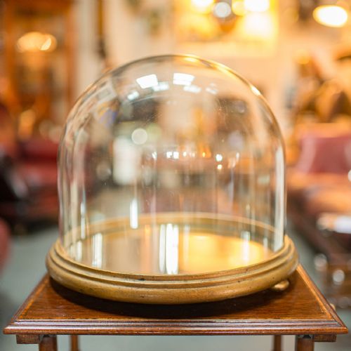 fig 3. Antique Mirrored Display Dome, English, Exhibition Taxidermy Showcase, Victorian