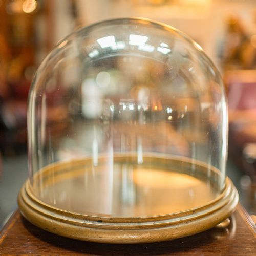 fig 4. Antique Mirrored Display Dome, English, Exhibition Taxidermy Showcase, Victorian