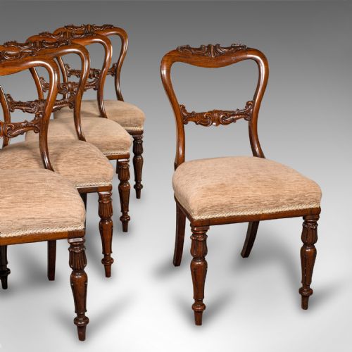 Set of 5 Antique Dining Chairs, Scottish, Buckle Back Seat, William Iv, C.1835