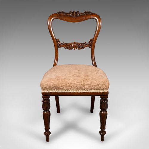 fig 1. Set Of 5 Antique Dining Chairs, Scottish, Buckle Back Seat, William IV, C.1835