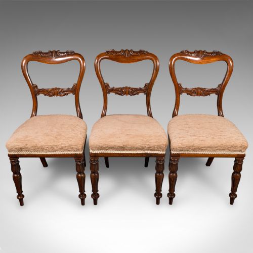 fig 5. Set Of 5 Antique Dining Chairs, Scottish, Buckle Back Seat, William IV, C.1835