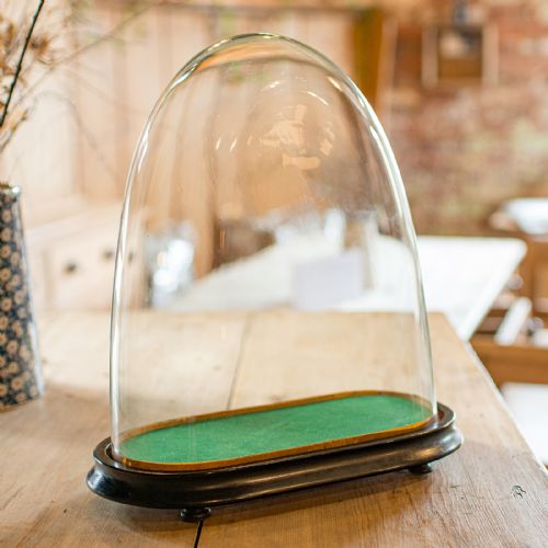 ANTIQUE OVOID CLOCK DOME ENGLISH GLASS TAXIDERMY DISPLAY SHOWCASE VICTORIAN - ADDITIONAL PHOTO 3