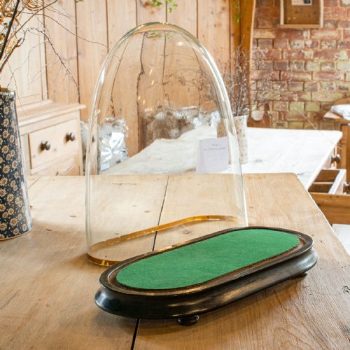 ANTIQUE OVOID CLOCK DOME ENGLISH GLASS TAXIDERMY DISPLAY SHOWCASE VICTORIAN - ADDITIONAL PHOTO 5