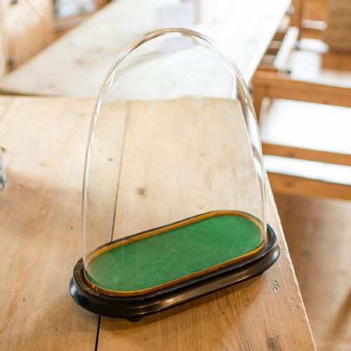 ANTIQUE OVOID CLOCK DOME ENGLISH GLASS TAXIDERMY DISPLAY SHOWCASE VICTORIAN - ADDITIONAL PHOTO 7