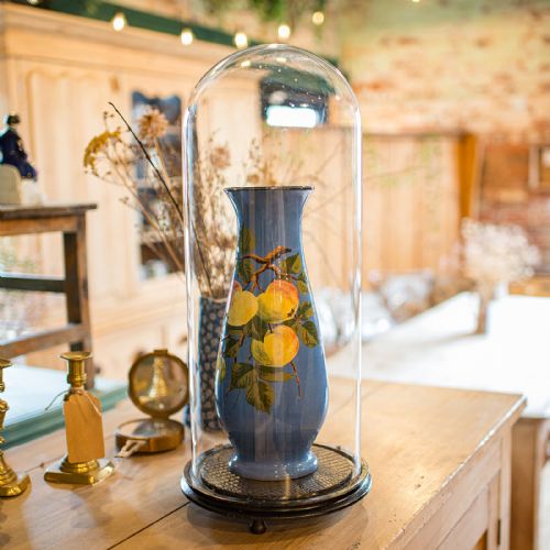 TALL ANTIQUE TAXIDERMY SHOWCASE ENGLISH DISPLAY DOME SPECIMEN CASE VICTORIAN - ADDITIONAL PHOTO 1
