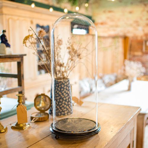 TALL ANTIQUE TAXIDERMY SHOWCASE ENGLISH DISPLAY DOME SPECIMEN CASE VICTORIAN - ADDITIONAL PHOTO 2