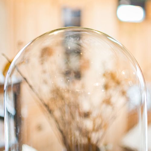 TALL ANTIQUE TAXIDERMY SHOWCASE ENGLISH DISPLAY DOME SPECIMEN CASE VICTORIAN - ADDITIONAL PHOTO 4
